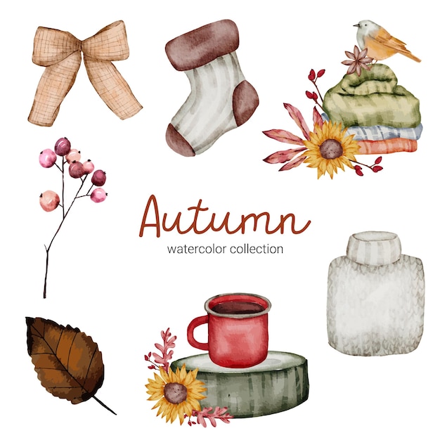 Vector set of autumn object elements in a watercolor style. Set of watercolor Autumn flower and object design combined with stain hand-painted. botanical leaves watercolor hand painting