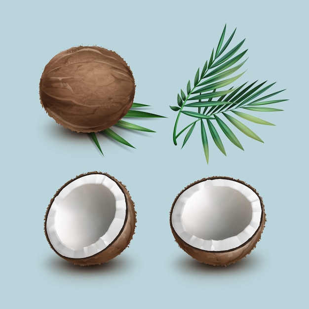 Free vector vector set of brown whole and half cut coconut with green palm leaves isolated on background