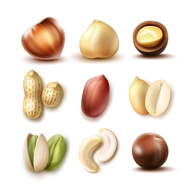 Vector set of different nuts: whole and half hazelnut, macadamia, pistachio, peanuts, cashew top, side view isolated on white background