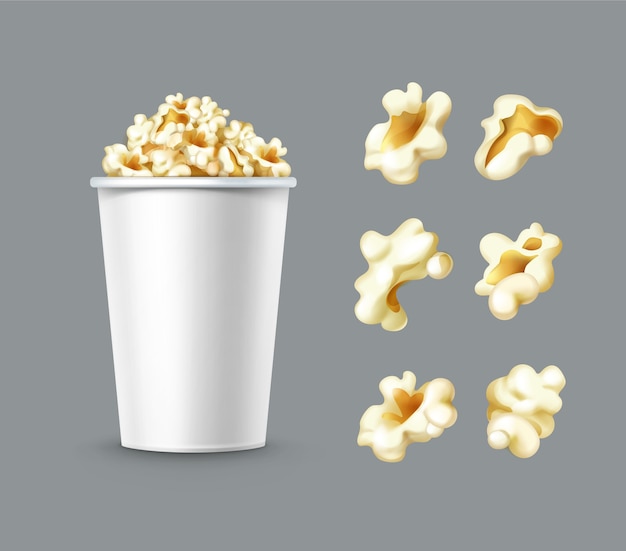 Vector set of different popcorn kernels with white bucket close up side view isolated on gray background