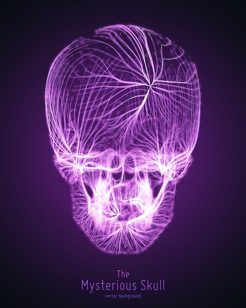 Vector skull constructed with violet lines Mysterious source of life background Internet security concept illustration Virus or malware abstract visualization Hacking big data image