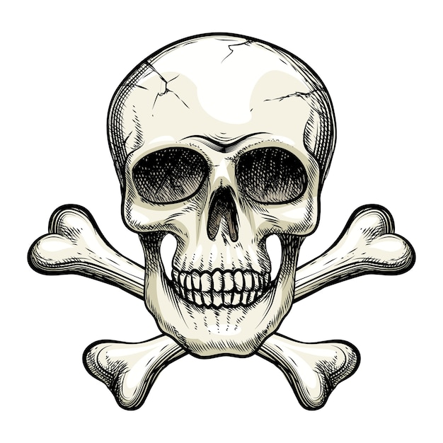 Vector skull and crossbones
