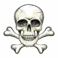 Free vector vector skull and crossbones