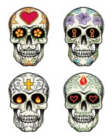 Vector skulls with flowers for day of the dead