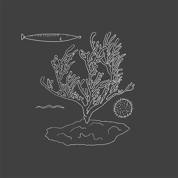 Free Vector vector of underwater creatures