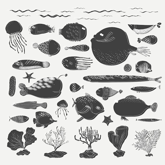 Vector of underwater creatures