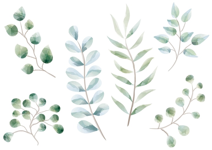Free Vector vector watercolor botanical element set isolated on a white background.