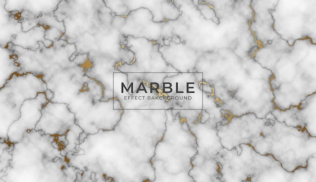 Vector white marble stone