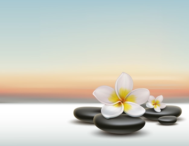 Vettore gratuito fiore di plumeria bianco di vettore con pietre spa zen nere su sfondo tramonto