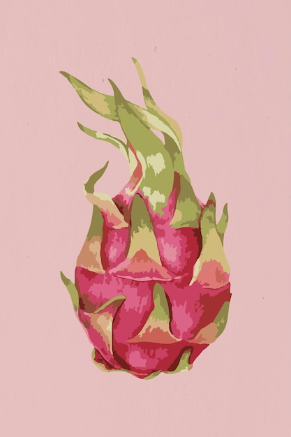 Vectorized dragon fruit design element