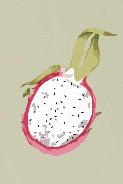 Vectorized half of a dragonfruit design element