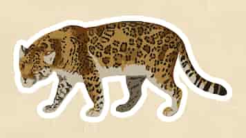 Бесплатное векторное изображение Наложение векторного стикера ягуара с элементом дизайна белой рамки