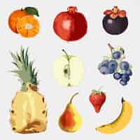 Бесплатное векторное изображение Векторизованные элементы дизайна коллекции наклеек с тропическими фруктами