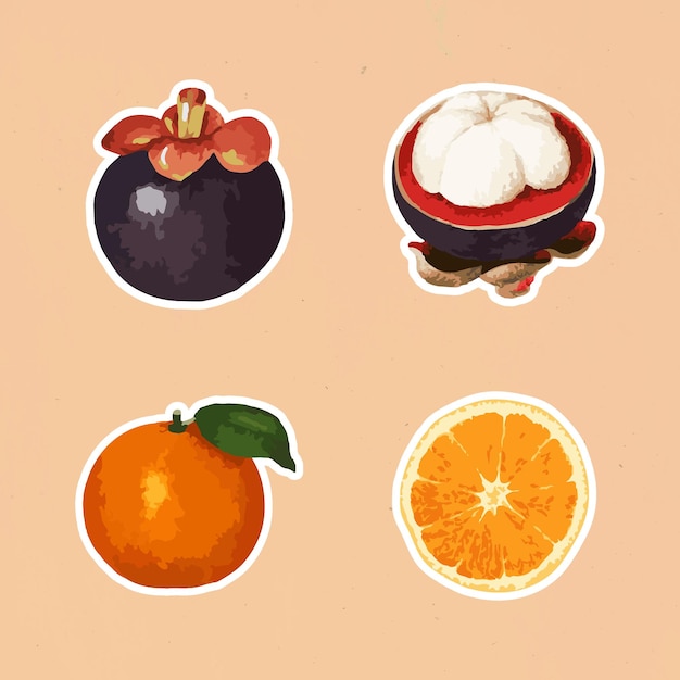 Free vector vectorized tropical fruit sticker collection design elements