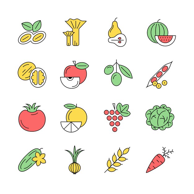 Vegetable design collection