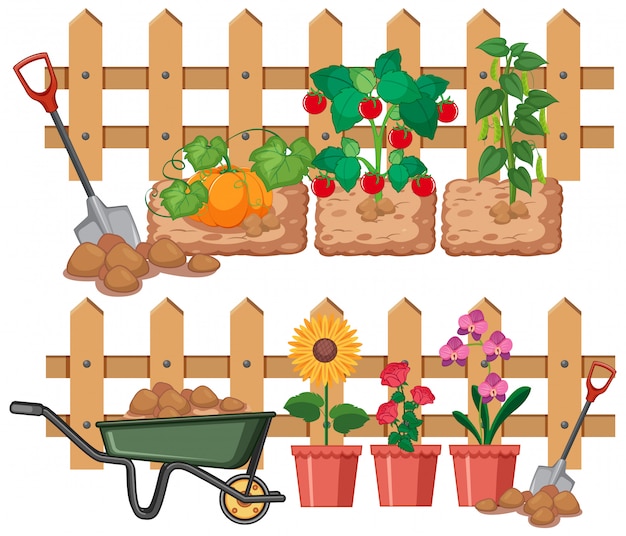 Free vector vegetables and flowers growing in the garden