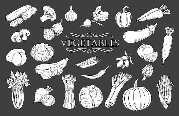 野菜 画像 無料のベクター ストックフォト Psd 野菜 画像 無料のベクター ストックフォト Psd