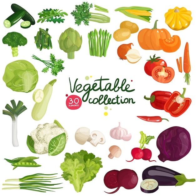 Коллекция овощей и трав
