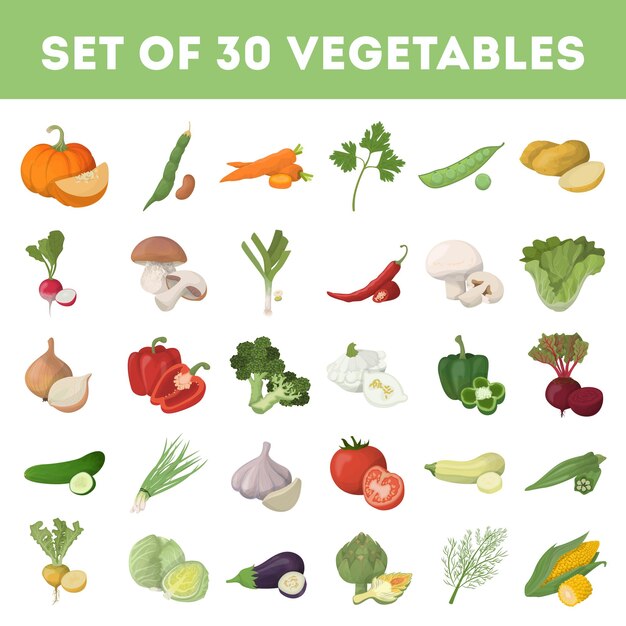 Иллюстрация овощей на белом фоне Свежая и здоровая пища