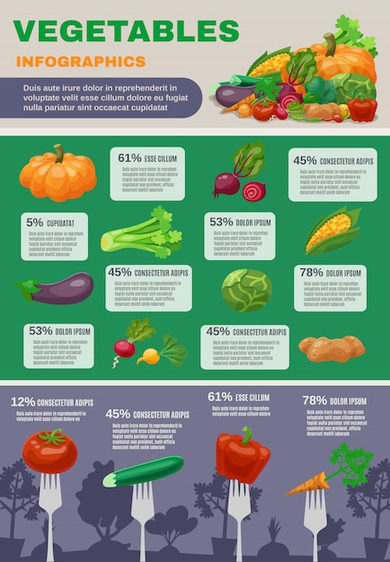 Vegetables infographic set