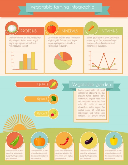 무료 벡터 야채 infographic 세트