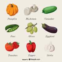 Free vector vegetables name collection art