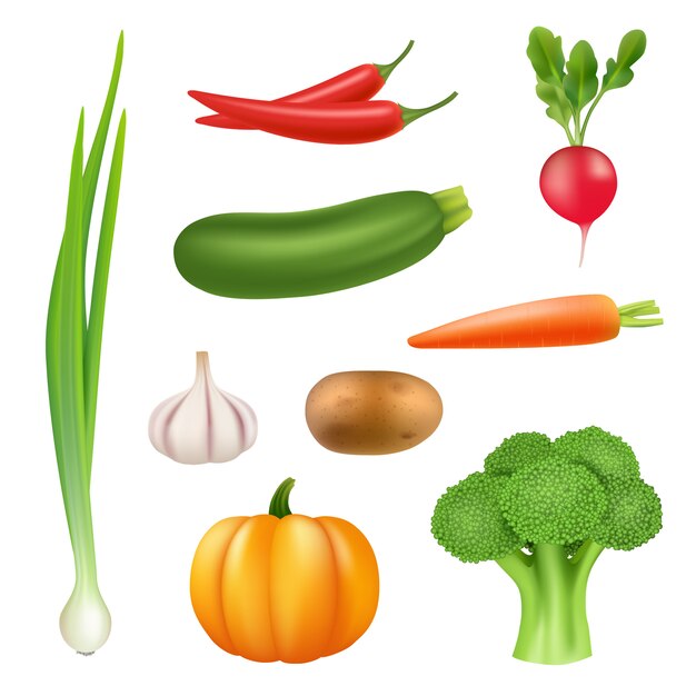 野菜のリアルな写真 健康的な生鮮食品カボチャブロッコリーキュウリコショウニンジン3 Dイラスト プレミアムベクター