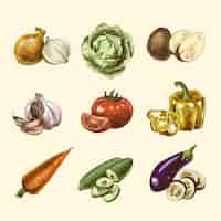 Free vector vegetables sketch set color