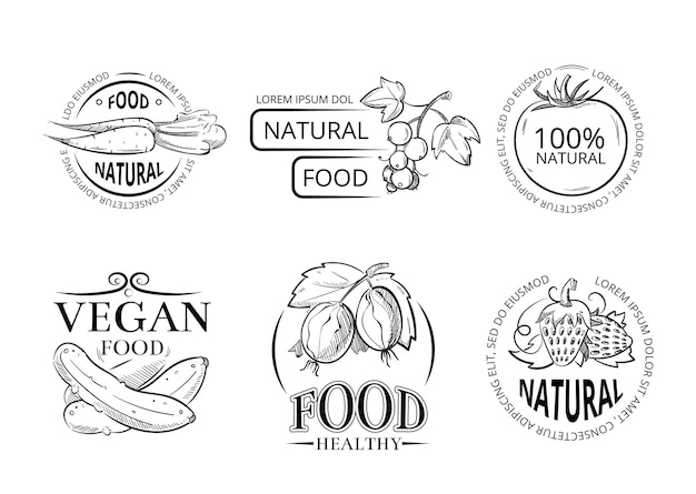 Veggie hand drawing labels and emblems with doodle vegan meal.