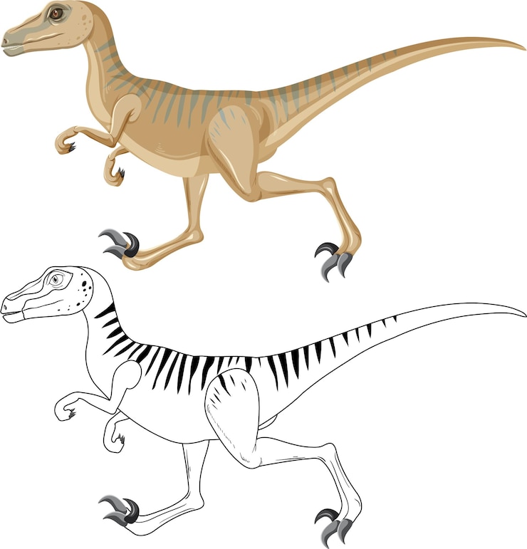 무료 Vector 흰색 backgroun에 그것의 낙서 개요와 velociraptor 공룡