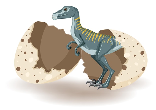 Free vector velociraptor hatching from egg