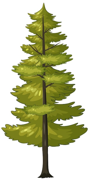 Illustrazione vettoriale dell'albero di pino verde