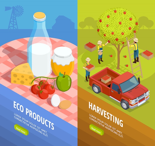 Vertical isometric farm banner set