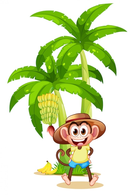 A very happy monkey near the banana plant