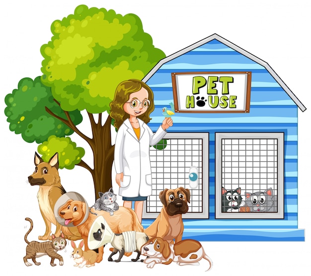 Vet and sick animals at pet house