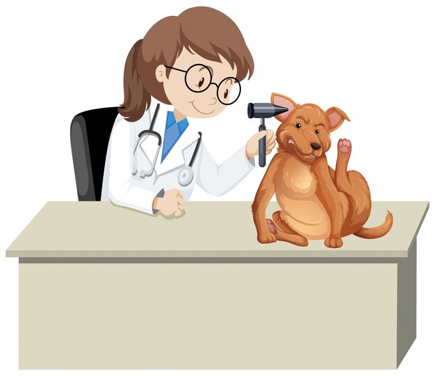 Veterinarian with sick animal