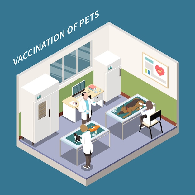 Veterinary clinic vaccination service isometric vet office interior view with assistants injecting cat and dog illustration