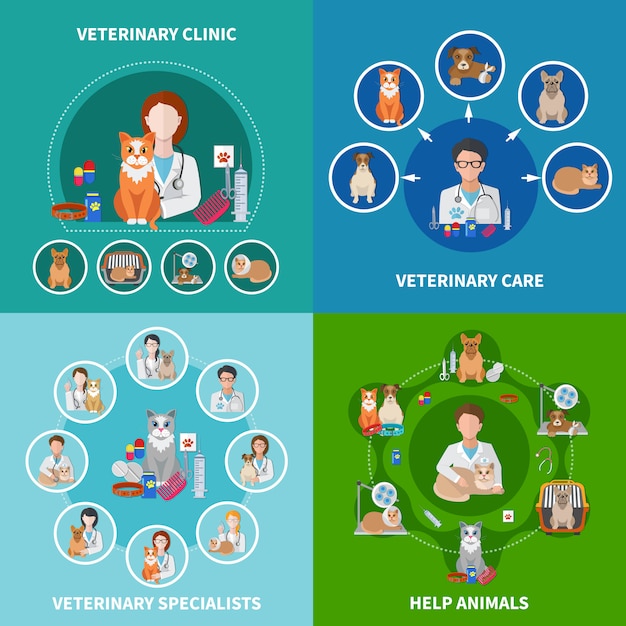 Veterinary flat icons concept