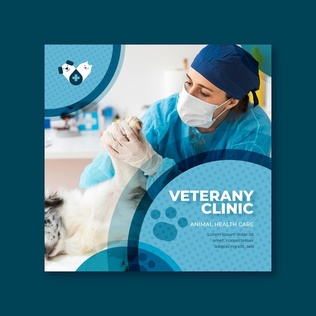 Veterinary flyer template concept