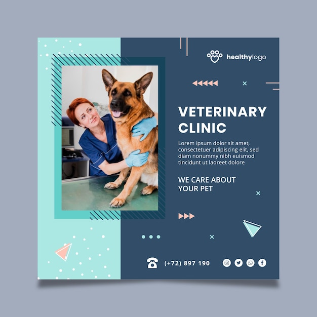 Veterinary flyer template with photo