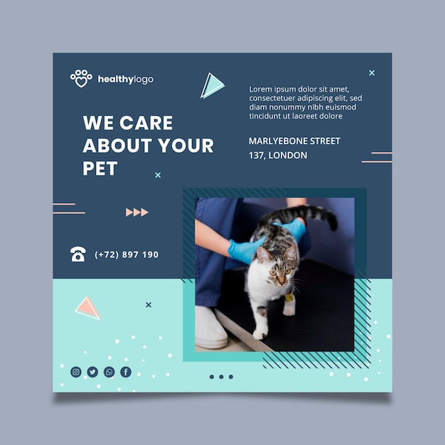 Free vector veterinary flyer template with photo