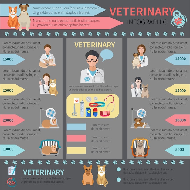 Veterinary infographic set