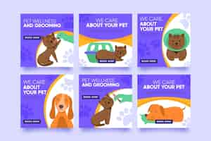 Free vector veterinary instagram post collection