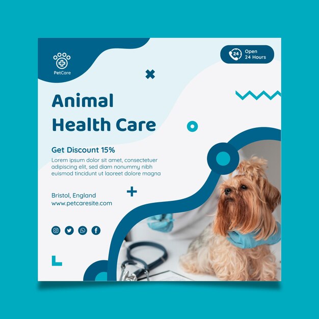 Veterinary square flyer template