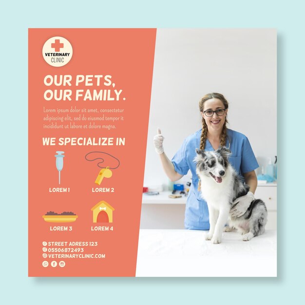 veterinary squared flyer template