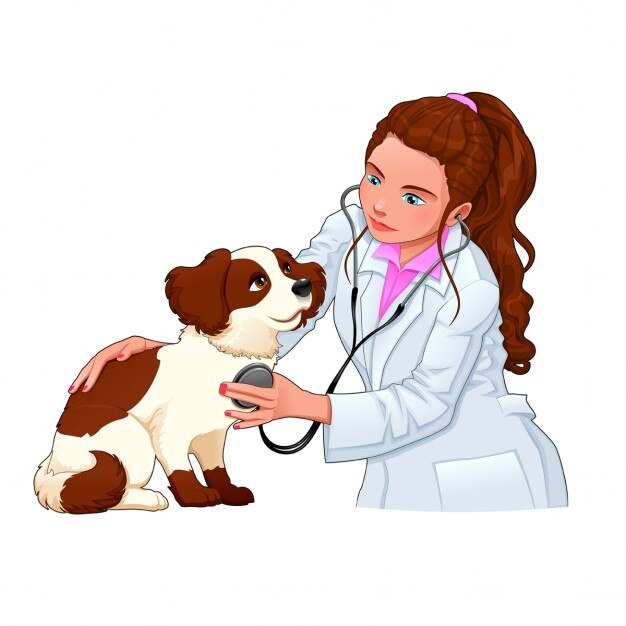 Veterinary with a dog