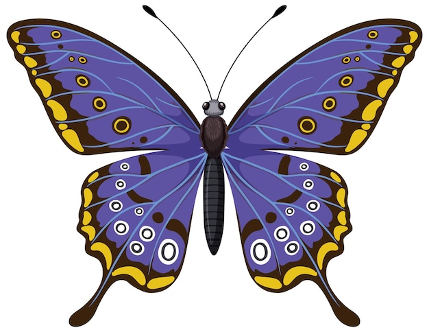 Free vector vibrant blue butterfly illustration