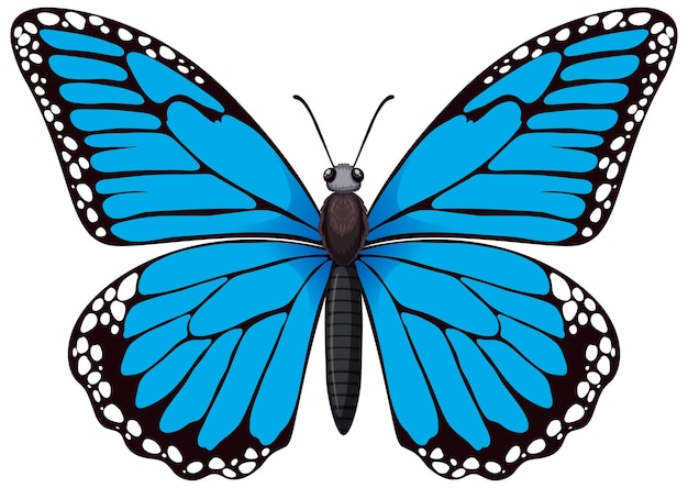 Vibrant blue butterfly illustration