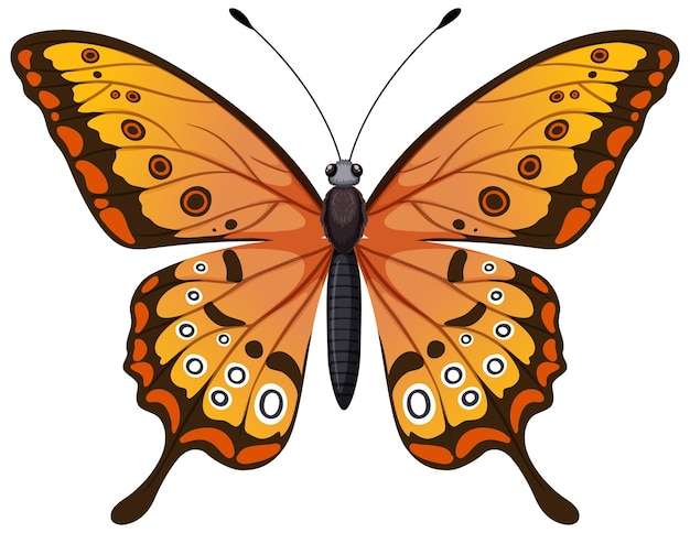 Vibrant butterfly vector illustration