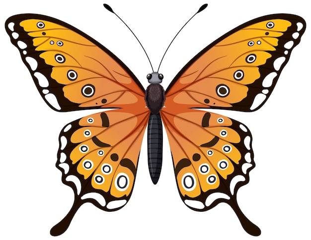 Иллюстрация живой бабочки-монарха